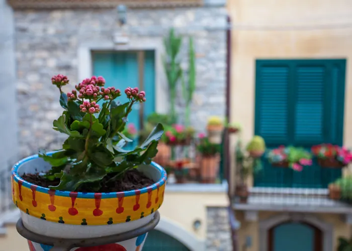 Πανσιόν Casa Don Micio 4*